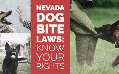 Nevada Dog Bite Laws: Know Your Rights