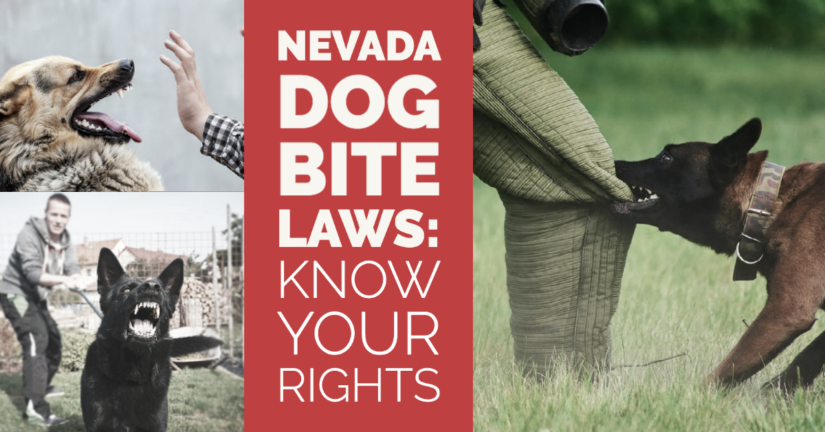 Nevada Dog Bite Laws - Know your rights. Several dogs look ready to bite in multiple images.